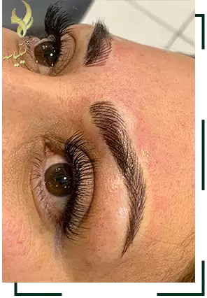 عکس قرینه سازی ابرو